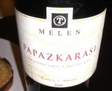 MELEN PAPAZKARASI 2004