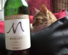 DİREN COLLECTION MERLOT 2008