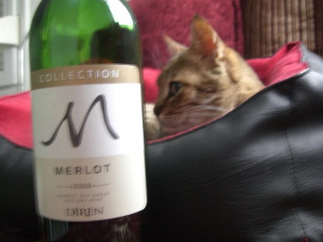 Diren Collection Merlot 2008