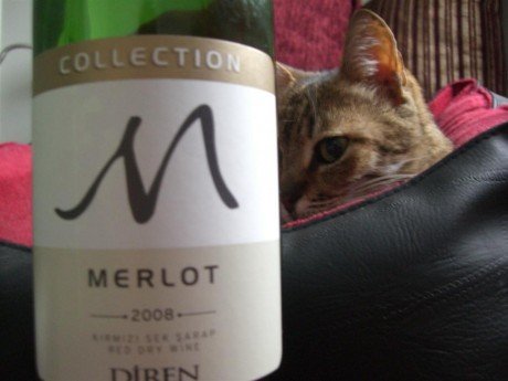 Diren Collection Merlot 2008