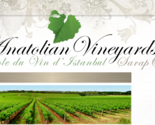 ANATOLIAN VINEYARDS ŞARAP OKULU – BAŞKA DİLDE ŞARAP