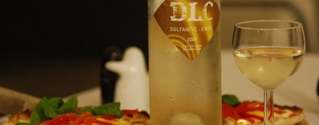 DLC SULTANİYE EMİR 2009