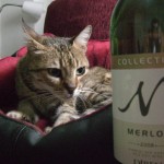 Diren Collection Merlot 2008