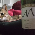 Diren Collection Merlot 2008