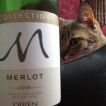 Diren Collection Merlot 2008